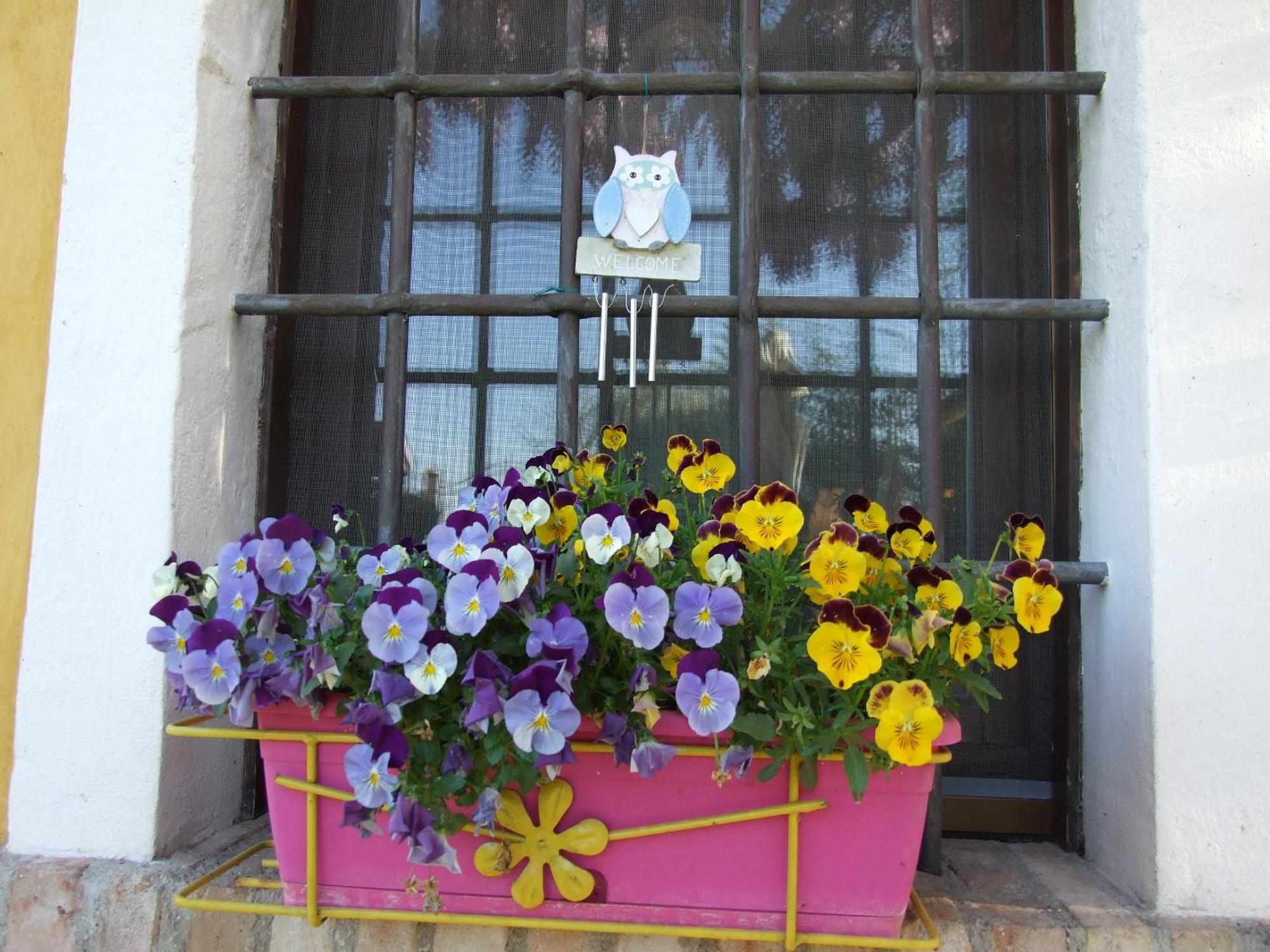 B&B Casacasina Monzambano Bagian luar foto