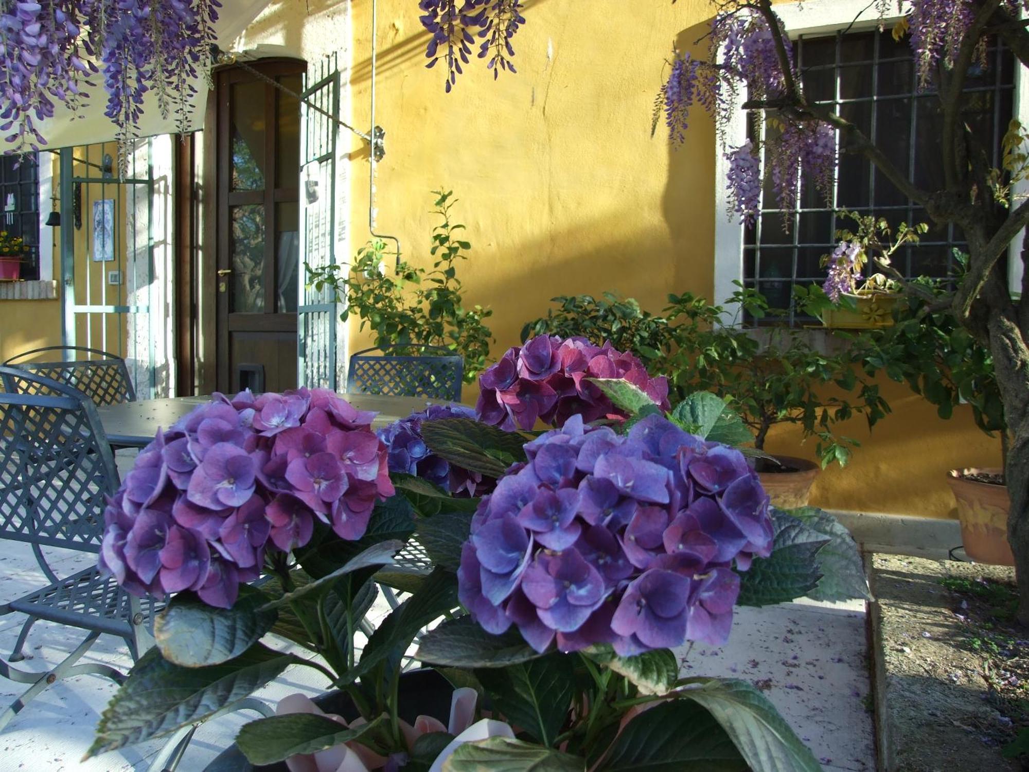 B&B Casacasina Monzambano Bagian luar foto