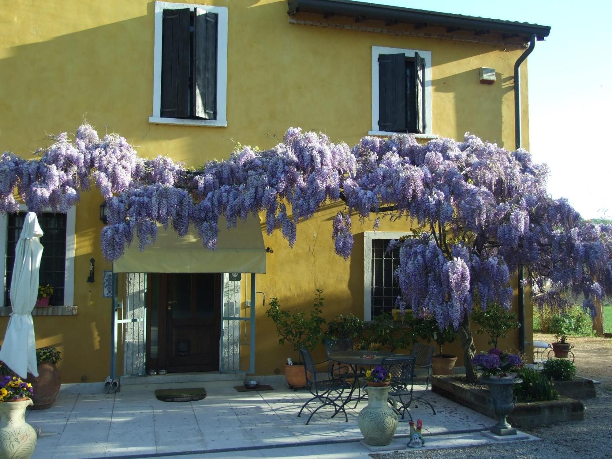B&B Casacasina Monzambano Bagian luar foto